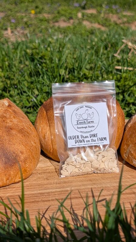 Dehydrated Sourdough Starter - Image 4