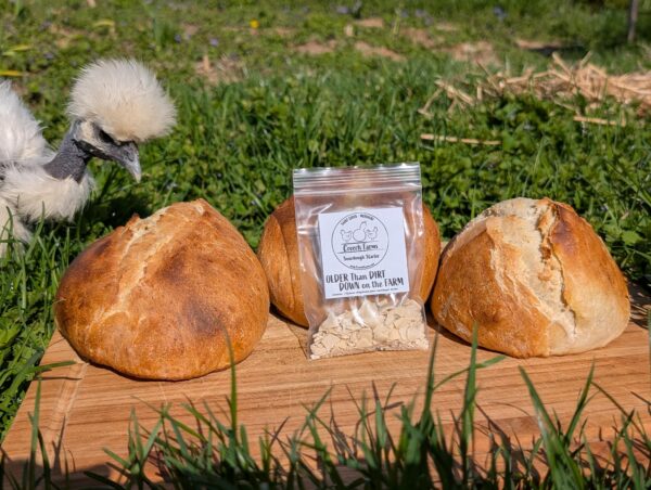 Dehydrated Sourdough Starter - Image 4