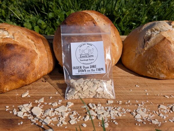 Dehydrated Sourdough Starter - Image 3