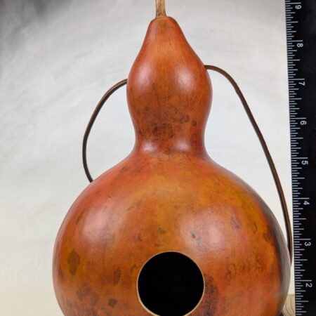 Burnt Red Gourd - Image 3