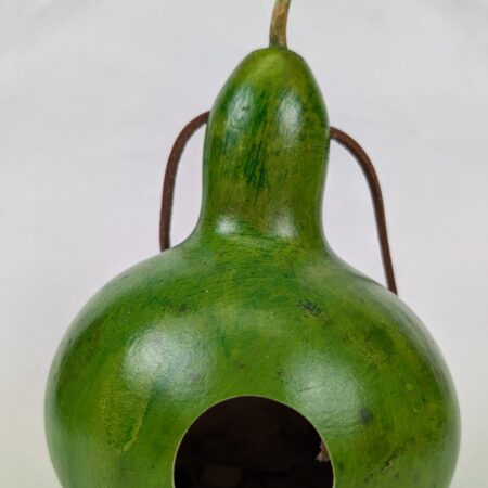 Apple Green Gourd