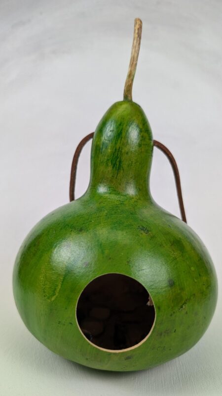 Apple Green Gourd