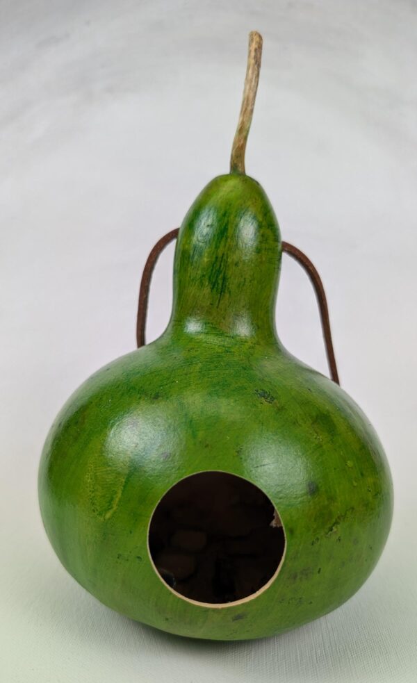 Apple Green Gourd - Image 1