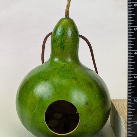 Apple Green Gourd - Image 2