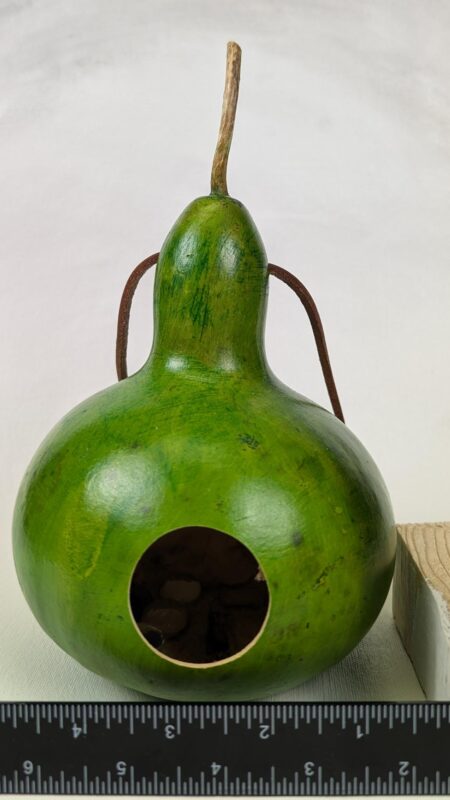 Apple Green Gourd - Image 2