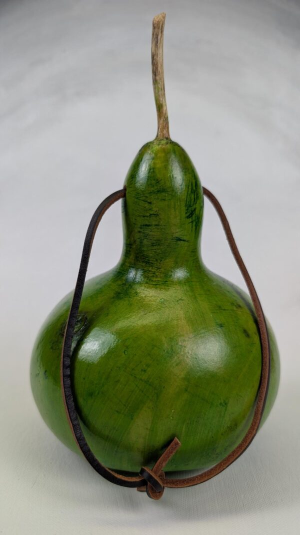 Apple Green Gourd - Image 3
