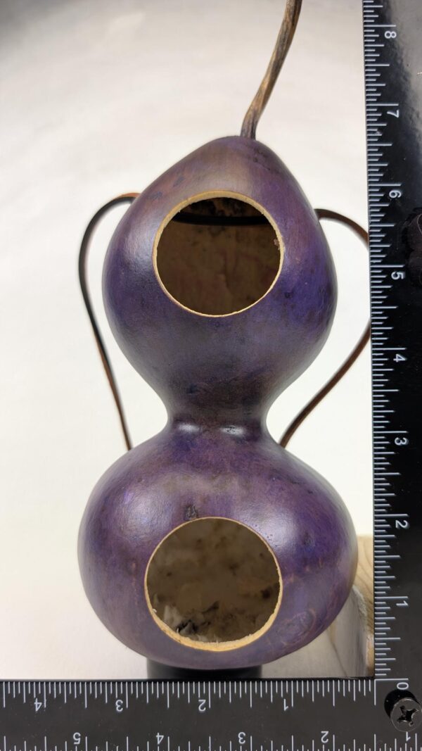 Double O Purple Gourd - Image 2