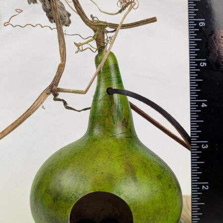 Little Green Gourd - Image 2