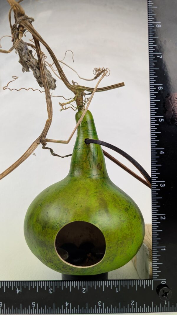 Little Green Gourd - Image 2