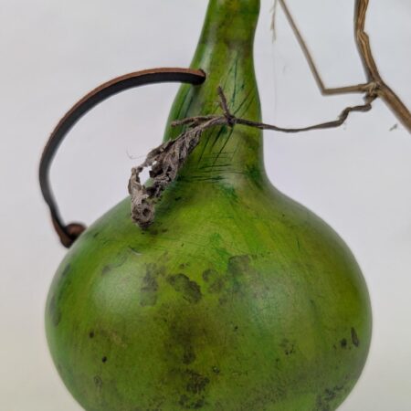 Little Green Gourd - Image 3