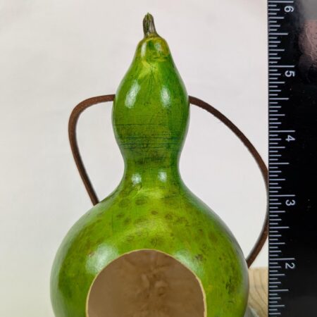 Green Gourd 2 - Image 2