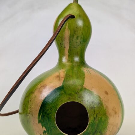 Natural and Green Stripped Gourd