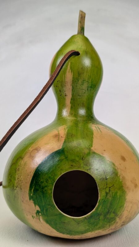 Natural and Green Striped Gourd