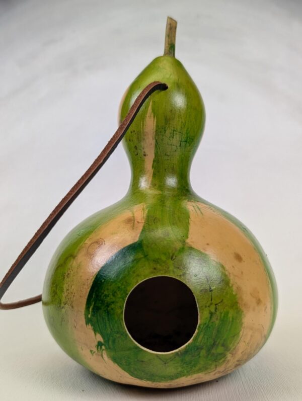 Natural and Green Stripped Gourd - Image 1