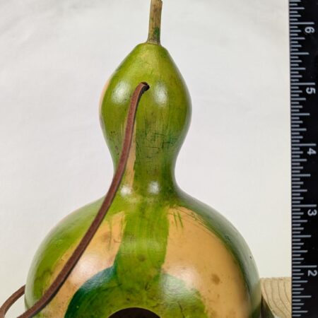 Natural and Green Stripped Gourd - Image 3