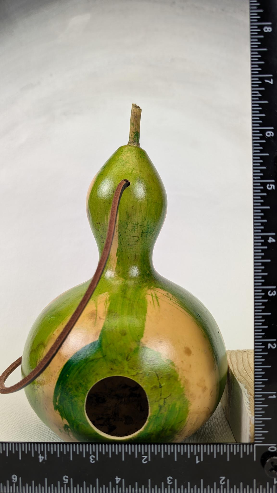Natural and Green Stripped Gourd - Image 3