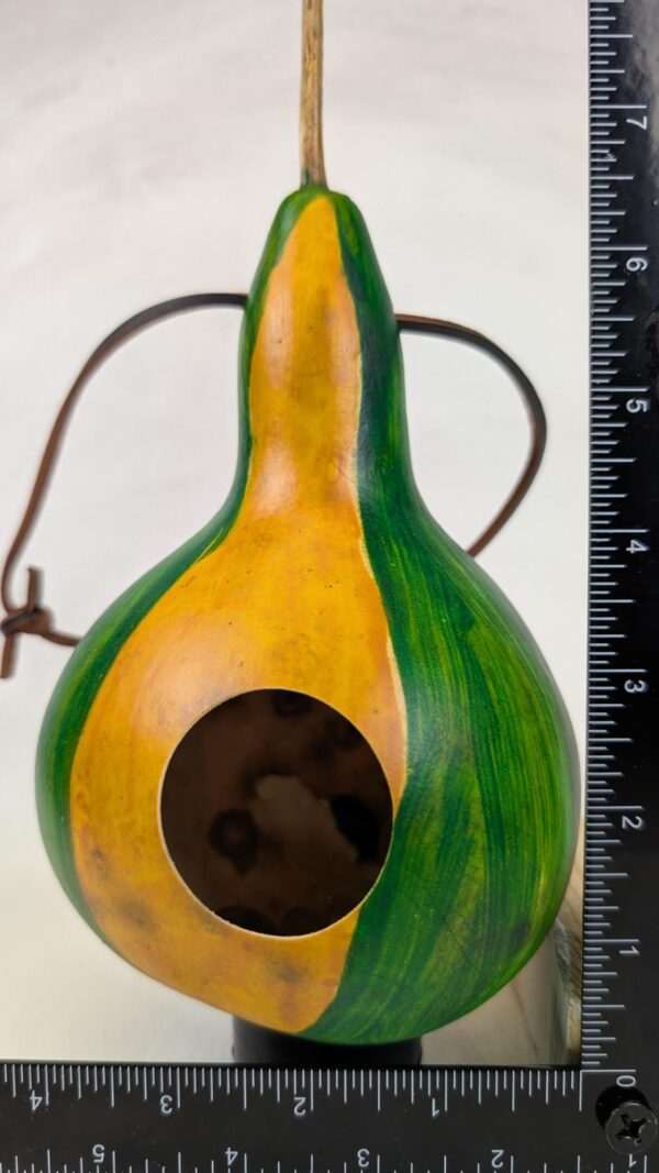 Green And Yellow Gourd - Image 3
