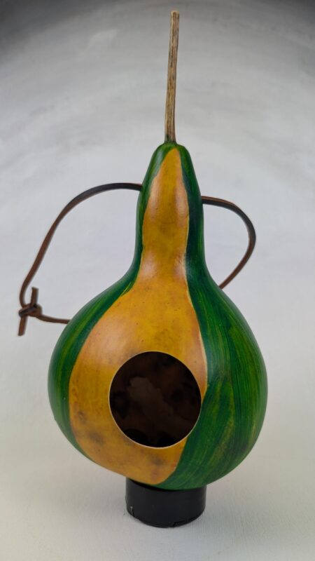 Green and Yellow Gourd